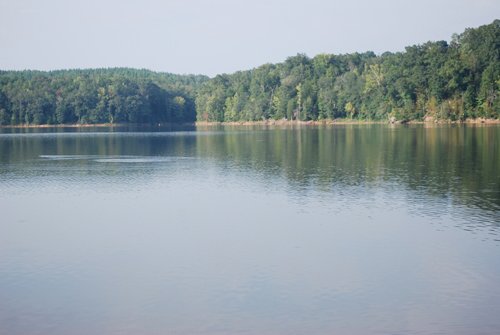 Property photo 18 - 1,575+/- Acres Offered in 23 Tracts