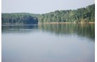 Property photo 18 - 1,575+/- Acres Offered in 23 Tracts