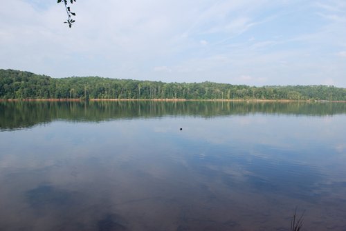 Property photo 4 - 1,575+/- Acres Offered in 23 Tracts