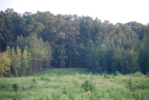 Property photo 15 - 1,575+/- Acres Offered in 23 Tracts