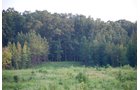 Property photo 15 - 1,575+/- Acres Offered in 23 Tracts