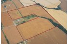 Property photo 29 - 721+/- Acres Offered in 15 Tracts - Session A