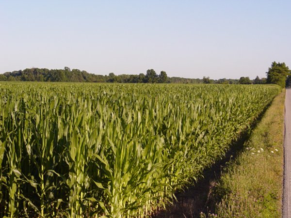 721+/- Acres Offered in 15 Tracts - Session A