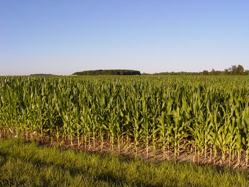 Property photo 13 - 721+/- Acres Offered in 15 Tracts - Session A