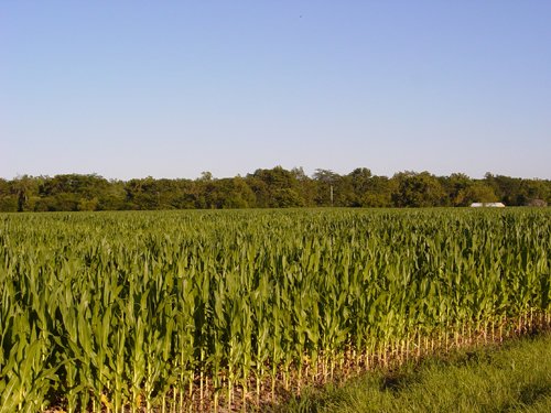 Property photo 30 - 721+/- Acres Offered in 15 Tracts - Session A