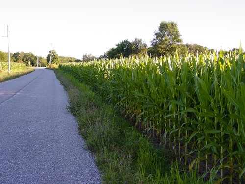 Property photo 23 - 721+/- Acres Offered in 15 Tracts - Session A