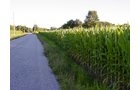 Property photo 23 - 721+/- Acres Offered in 15 Tracts - Session A