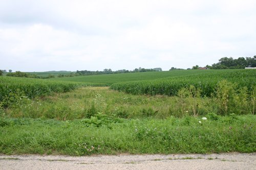 Property photo 9 - 721+/- Acres Offered in 15 Tracts - Session A