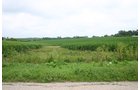 Property photo 9 - 721+/- Acres Offered in 15 Tracts - Session A