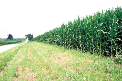 Property photo 32 - 721+/- Acres Offered in 15 Tracts - Session A