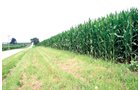 Property photo 32 - 721+/- Acres Offered in 15 Tracts - Session A