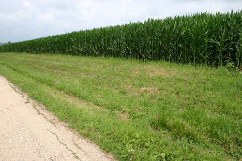 Property photo 27 - 721+/- Acres Offered in 15 Tracts - Session A