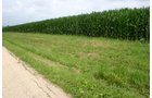 Property photo 27 - 721+/- Acres Offered in 15 Tracts - Session A