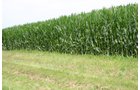 Property photo 5 - 721+/- Acres Offered in 15 Tracts - Session A