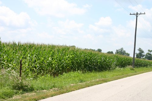 Property photo 17 - 721+/- Acres Offered in 15 Tracts - Session A