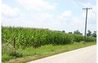 Property photo 17 - 721+/- Acres Offered in 15 Tracts - Session A