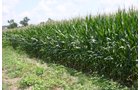 Property photo 20 - 721+/- Acres Offered in 15 Tracts - Session A
