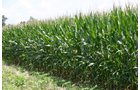 Property photo 1 - 721+/- Acres Offered in 15 Tracts - Session A