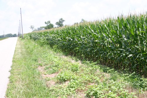 Property photo 14 - 721+/- Acres Offered in 15 Tracts - Session A