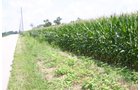 Property photo 14 - 721+/- Acres Offered in 15 Tracts - Session A