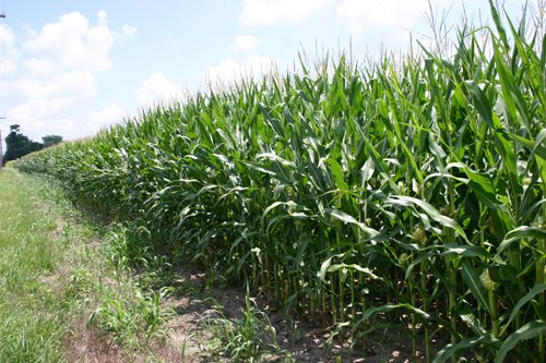 Property photo 28 - 721+/- Acres Offered in 15 Tracts - Session A