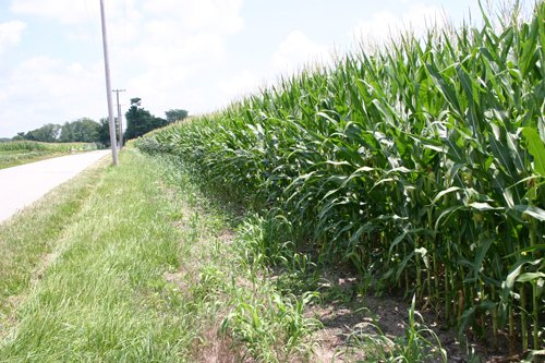 Property photo 36 - 721+/- Acres Offered in 15 Tracts - Session A