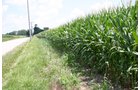 Property photo 36 - 721+/- Acres Offered in 15 Tracts - Session A