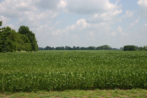 Property photo 41 - 721+/- Acres Offered in 15 Tracts - Session A
