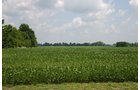 Property photo 41 - 721+/- Acres Offered in 15 Tracts - Session A