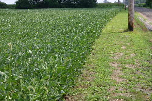 Property photo 26 - 721+/- Acres Offered in 15 Tracts - Session A