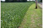 Property photo 26 - 721+/- Acres Offered in 15 Tracts - Session A