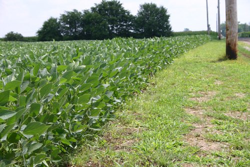 Property photo 34 - 721+/- Acres Offered in 15 Tracts - Session A
