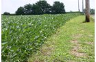 Property photo 34 - 721+/- Acres Offered in 15 Tracts - Session A