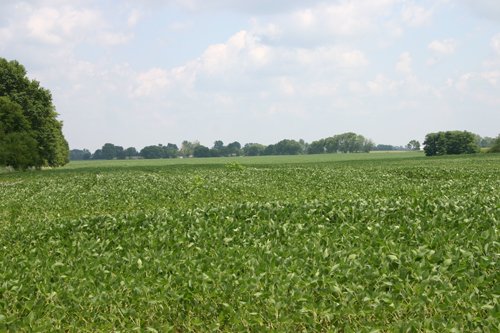 Property photo 25 - 721+/- Acres Offered in 15 Tracts - Session A