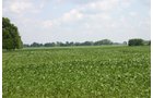 Property photo 25 - 721+/- Acres Offered in 15 Tracts - Session A