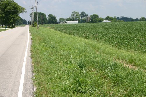 Property photo 12 - 721+/- Acres Offered in 15 Tracts - Session A