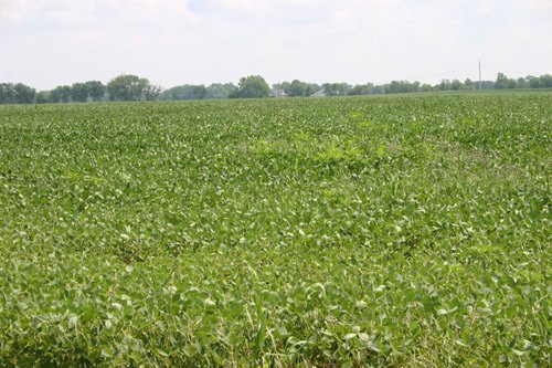 Property photo 15 - 721+/- Acres Offered in 15 Tracts - Session A