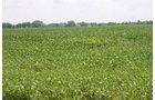 Property photo 15 - 721+/- Acres Offered in 15 Tracts - Session A