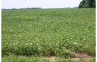 Property photo 22 - 721+/- Acres Offered in 15 Tracts - Session A