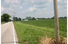 Property photo 10 - 721+/- Acres Offered in 15 Tracts - Session A