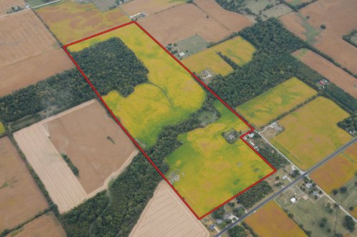 Property photo 19 - 721+/- Acres Offered in 15 Tracts - Session B