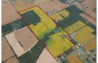 Property photo 19 - 721+/- Acres Offered in 15 Tracts - Session B