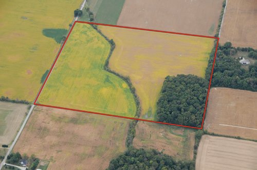 Property photo 18 - 721+/- Acres Offered in 15 Tracts - Session B