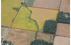 Property photo 18 - 721+/- Acres Offered in 15 Tracts - Session B