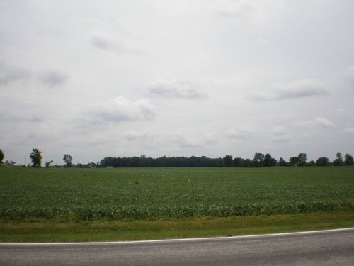 Property photo 11 - 721+/- Acres Offered in 15 Tracts - Session B
