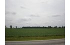 Property photo 11 - 721+/- Acres Offered in 15 Tracts - Session B