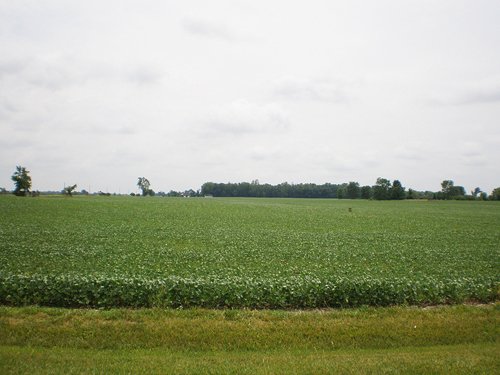 Property photo 3 - 721+/- Acres Offered in 15 Tracts - Session B