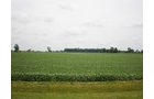 Property photo 3 - 721+/- Acres Offered in 15 Tracts - Session B