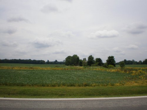 Property photo 12 - 721+/- Acres Offered in 15 Tracts - Session B
