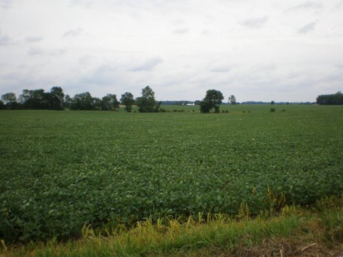 Property photo 8 - 721+/- Acres Offered in 15 Tracts - Session B